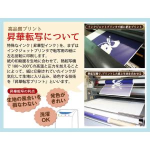 のれん 暖簾 和風 円山応挙 鯉魚図 松 85...の詳細画像1