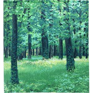 のれん 海月と踊る わちふぃーるどダヤン : わちふぃーるど Yahoo!店