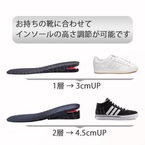 中敷 インソール 身長アップ シークレットイン...の詳細画像5