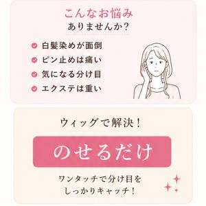 ヘアピース 部分ウィッグ 頭頂部ウィッグ ピン...の詳細画像1