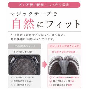 ヘアピース 部分ウィッグ 頭頂部ウィッグ ピン...の詳細画像3