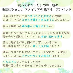犬 猫 ベッド STYRIA サマーツイード ...の詳細画像2