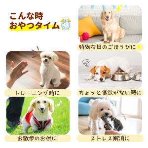 犬 おやつ 無添加 国産 ベストパートナー こ...の詳細画像3