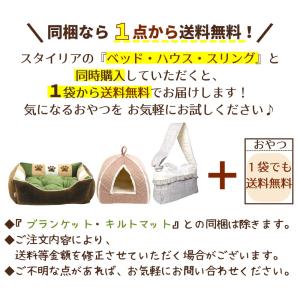 犬 おやつ 無添加 国産 ベストパートナー こ...の詳細画像4