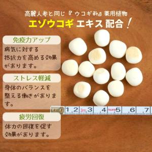 犬 おやつ 無添加 国産 ベストパートナー 山...の詳細画像2