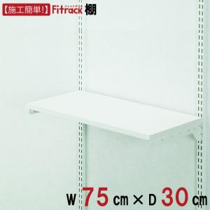 棚板 フィットラック用棚板　幅45㎝ 奥行45㎝　ウォールシェルフ 壁面収納 棚 幅45cm 奥行45cm フィットラック TSセット （ 棚板 木製