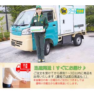 セラティス バイ ミクシム ナイトリペア シャ...の詳細画像2