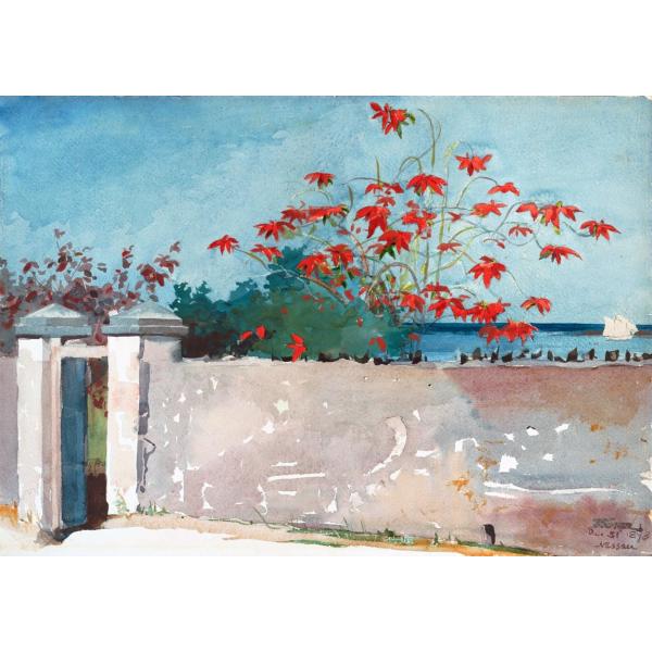 ウィンスロー ホーマー A Wall Nassau　A2(420ミリ×594ミリ) ジクレーポスター...