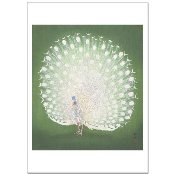 小原古邨 孔雀  B4〜B0サイズ ジクレーポスター