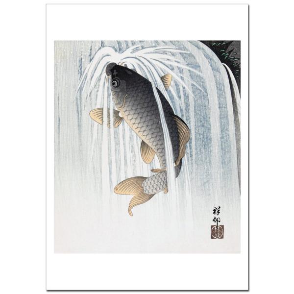 小原古邨 鯉  B4〜B0サイズ ジクレーポスター