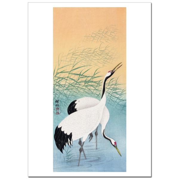 小原古邨 二羽の丹頂鶴　B4〜B0サイズ ジクレーポスター