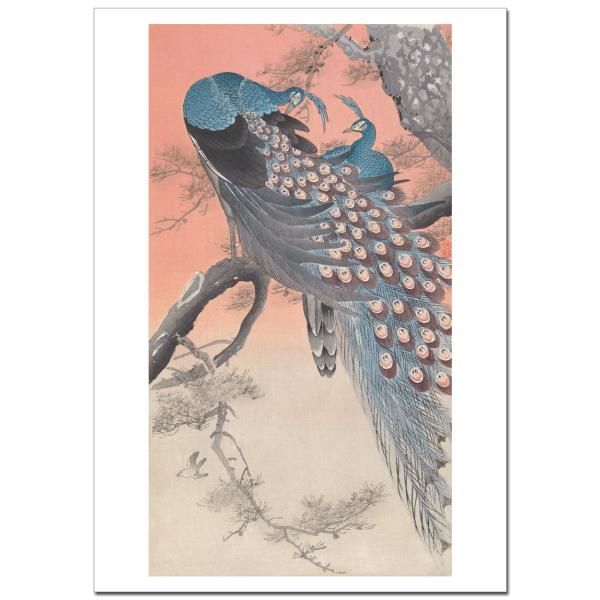 小原古邨 二匹の孔雀 B4〜B0サイズ ジクレーポスター