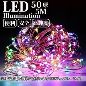 SUCCUL（サクル） LEDジュエリーライト 電池式 30球3M LED