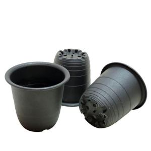 3号プラスチック鉢