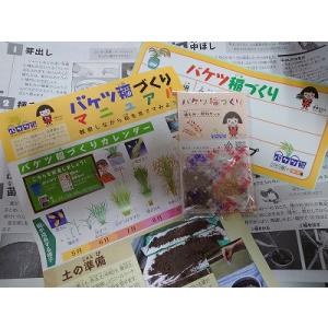 JA バケツ稲づくりセットの商品画像