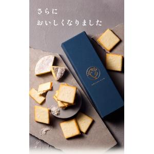 東京ミルクチーズ工場 公式 【 ソルト&カマン...の詳細画像1