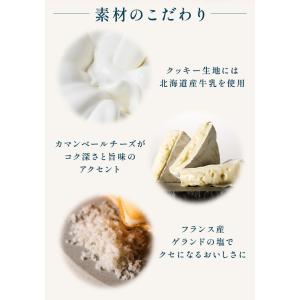 東京ミルクチーズ工場 公式 【 ソルト&カマン...の詳細画像2