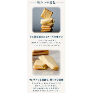 東京ミルクチーズ工場 公式 【 ソルト&カマン...の詳細画像3