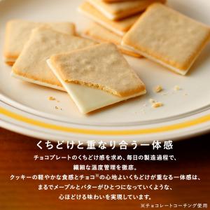 ザ・メープルマニア 公式 【メープルバタークッ...の詳細画像4