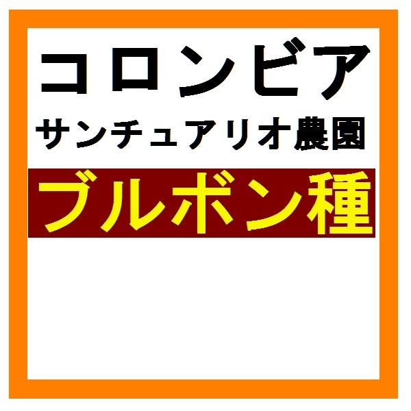 サンチュアリオ農園＜500g＞