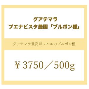 グアテマラ・ブエナビスタ農園ブルボン種＜500g＞｜sudacoffee