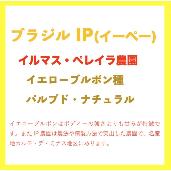 ブラジル／IP(イルマス・ペレイラ)農園イエローブルボン・パルプドナチュラル 200ｇ