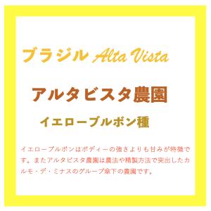 ブラジル／AltaVista(アルタビスタ)農園イエローブルボン　500ｇ｜sudacoffee