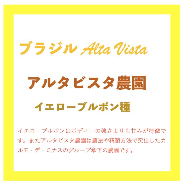 ブラジル／AltaVista(アルタビスタ)農園イエローブルボン　500ｇ