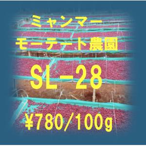 ミャンマー・グリーンランド農園SL-28 100g｜sudacoffee