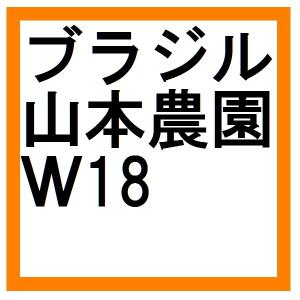 山本農園　W18＜200g＞｜sudacoffee