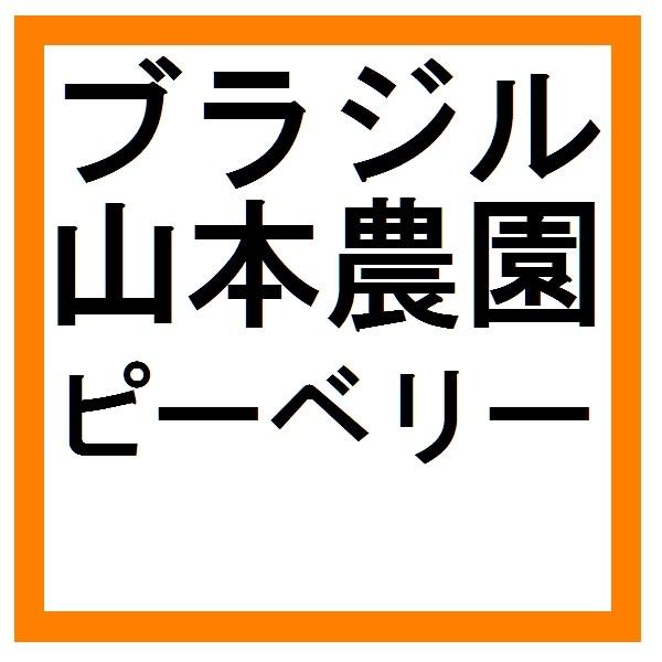 山本農園　ピーベリー＜200g＞