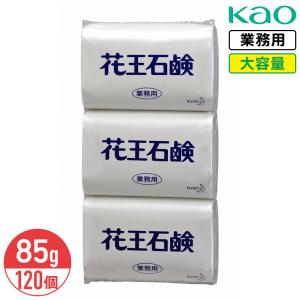 エオリア エオリア ヤシの実石けん 業務用 80g 1箱（120個