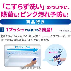 ライオン バスタブクレンジング 銀イオンプラス...の詳細画像2