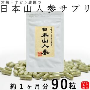 金氏高麗人参 神秘の健康力 90粒 高麗人参 健康食品 : Peace Piece