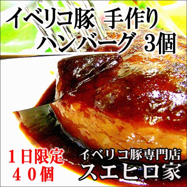 イベリコ豚 100% ハンバーグ 3個×110g 冷凍 お取り寄せ レシピ作り方 ギフト