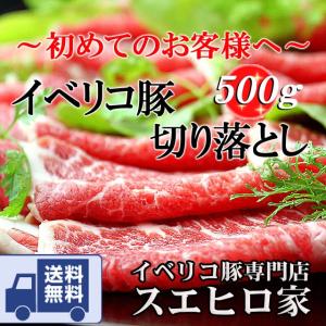 豚肉 訳あり イベリコ豚 切り落とし 500g ギフト お取り寄せ
