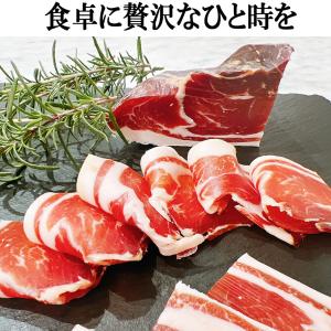 大人の贅沢 生ハム 原木 ミニ 約320g 1...の詳細画像1