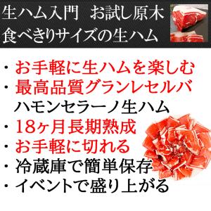 大人の贅沢 生ハム 原木 ミニ 約320g 1...の詳細画像2