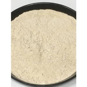 国産無農薬小麦 小麦粉 強力粉(強力全粒粉)ふ...の詳細画像2