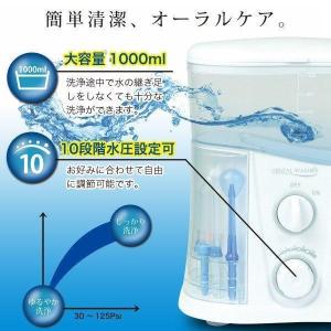 口腔洗浄器 歯垢除去 オーラルケア 口内洗浄機...の詳細画像4