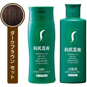 利尻ヘア カラーシャンプー トリートメントセット 200g ダークブラウン 白髪用 無添加 ヘアケア ノンシリコン