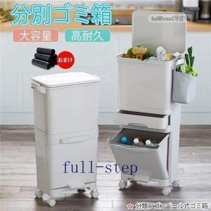 ゴミ箱キッチン分別2段ゴミばこ蓋つき45L縦型四...の商品画像