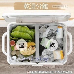 ゴミ箱キッチン分別2段ゴミばこ蓋つき45L縦型...の詳細画像3