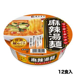 スガキヤ 麻辣湯麺 12食 送料無料