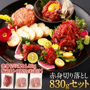 馬刺し 馬肉 熊本 830g 赤身切り落とし 馬刺 肉 鮮馬刺し専用たれ・ユッケ特製たれ 約20人前 老舗 菅乃屋