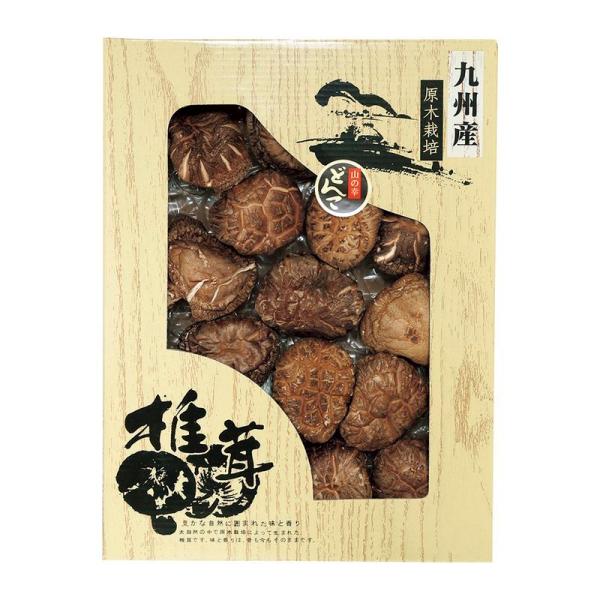 九州産 どんこ椎茸 CD-20NH