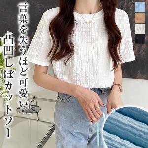 カットソー Tシャツ 半袖 トップス レディース Uネック おすすめ  【lstp307-339】【即納：1営業日】【送料無料】メ込2｜sugarbiscuit