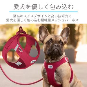 カーリー Curli ハーネス エアメッシュ ...の詳細画像4