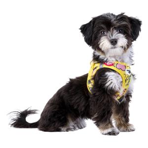 カーリー Curli 犬服 ドッグウェア ハー...の詳細画像4