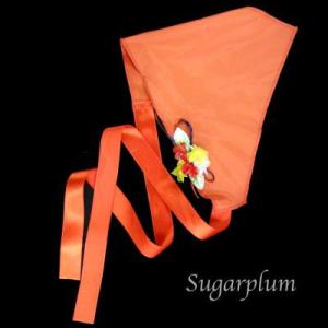 休日限定 村娘赤ずきんチュチュ４号５号バレエ衣装 返品不可